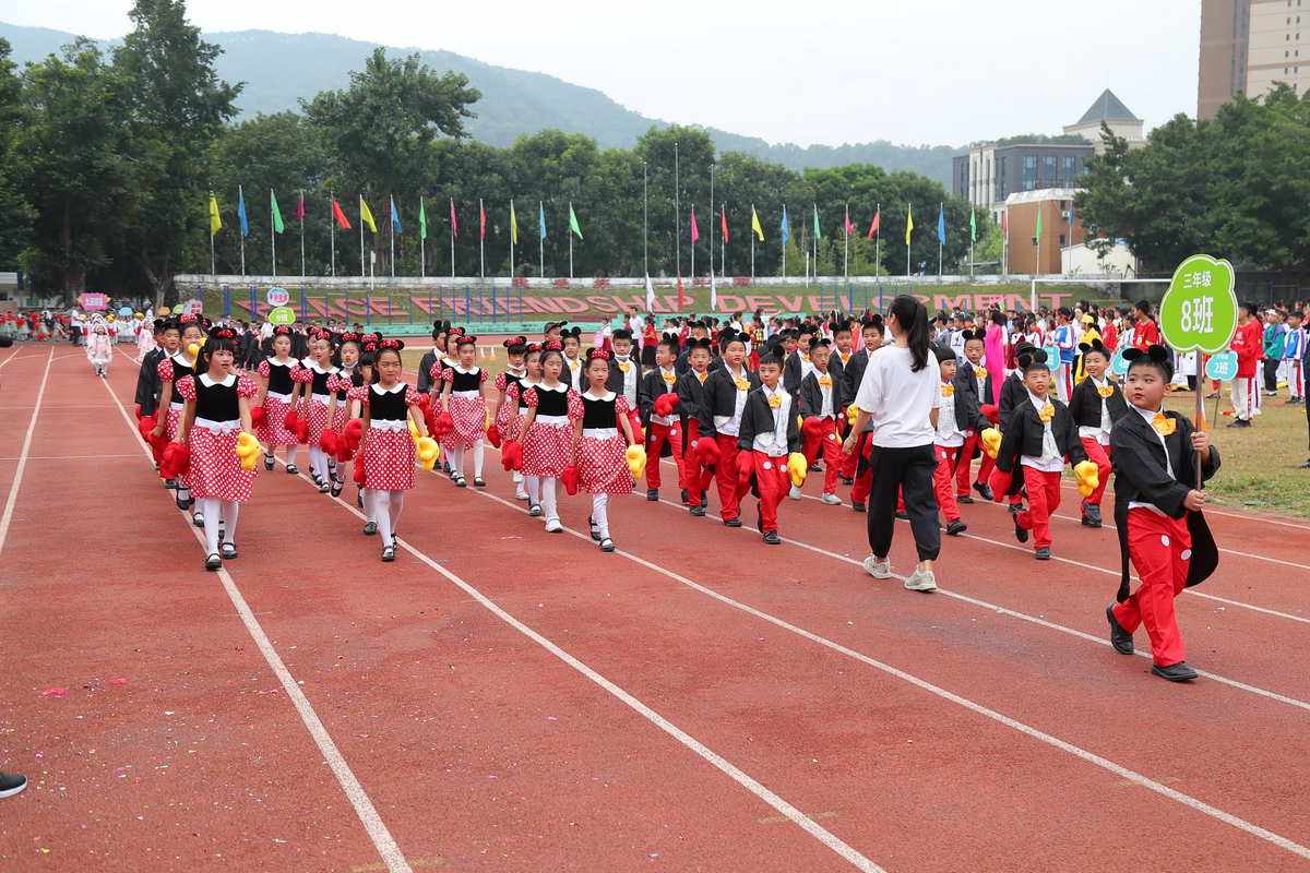 深圳市石岩公学(深圳市石岩公学学费)