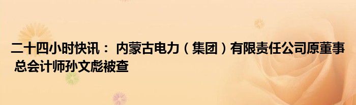 内蒙古电力集团(内蒙古电力集团有限公司官网)