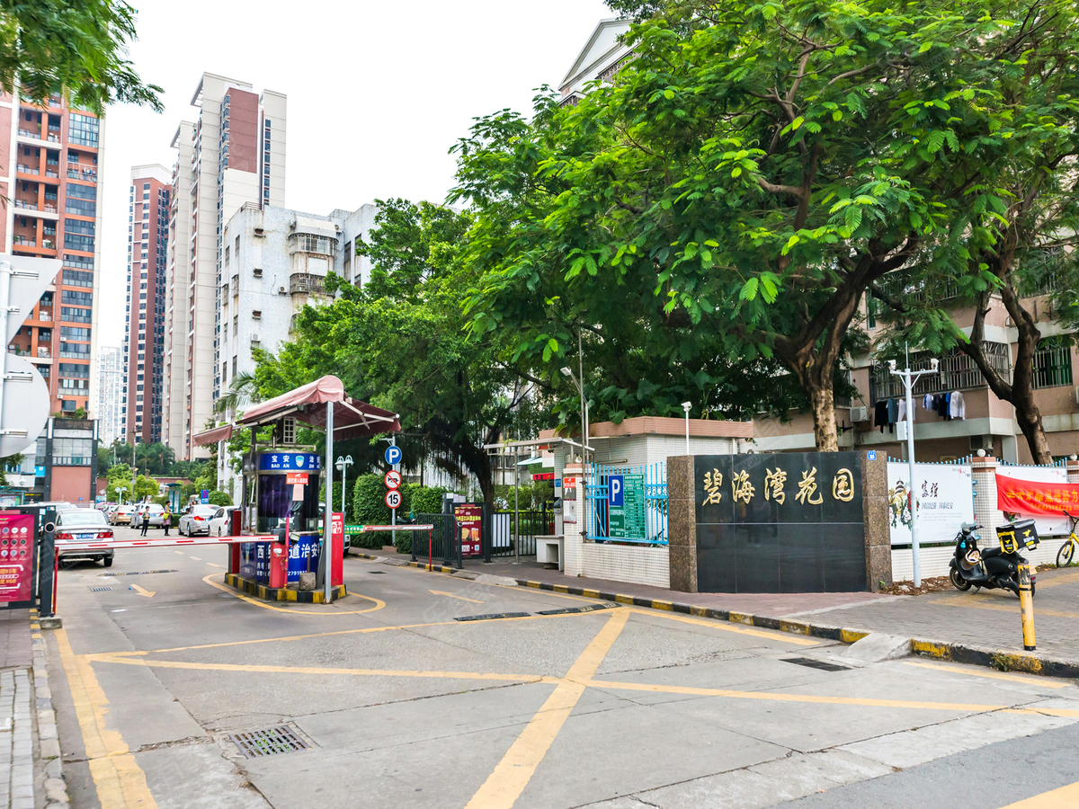 深圳碧海湾(深圳碧海湾在哪里)