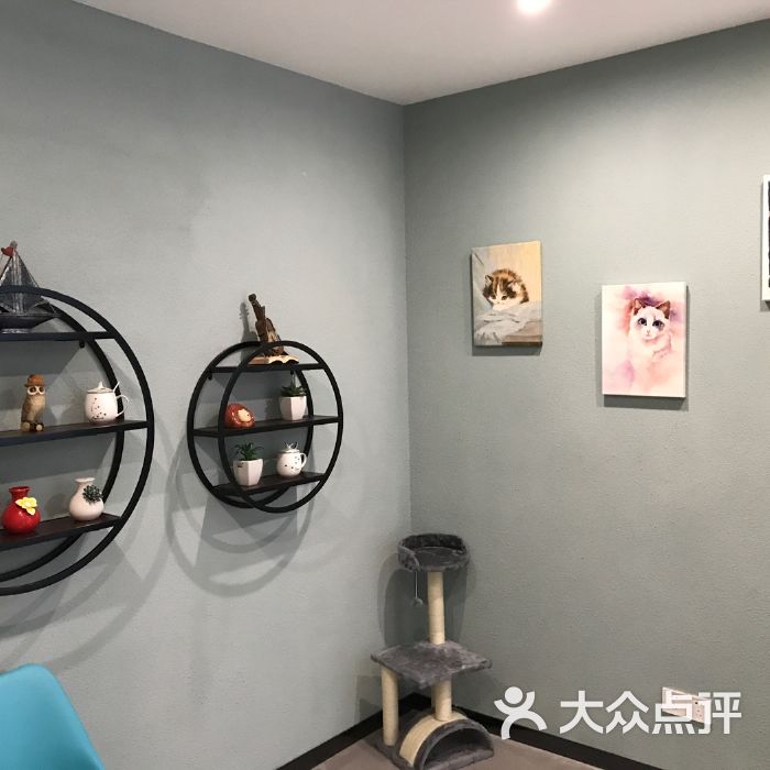 美多格宠物医院(狗狗寄养宠物店硬憋尿怎么办)