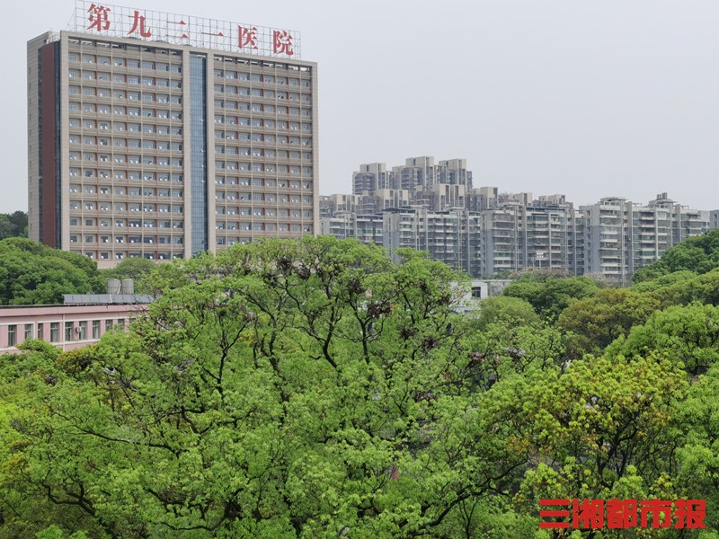 长沙第一医院(洛周展 长沙第一医院)